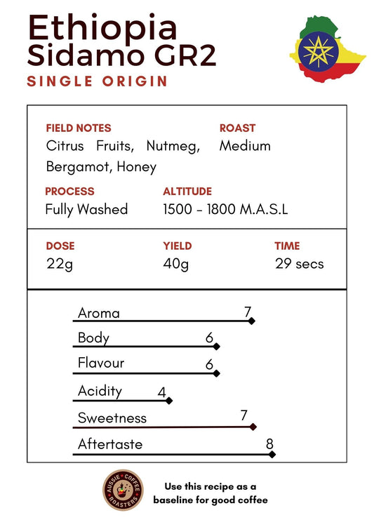 Single Origin Coffee Ethiopia Sidamo – Medium Roast