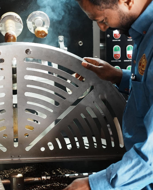 Specialty Whole Bean Coffee - Trio Blend Bundle