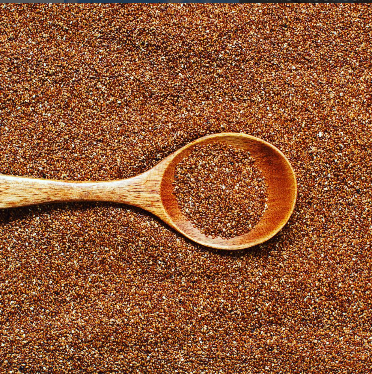Brown Teff Seeds (Gluten Free)