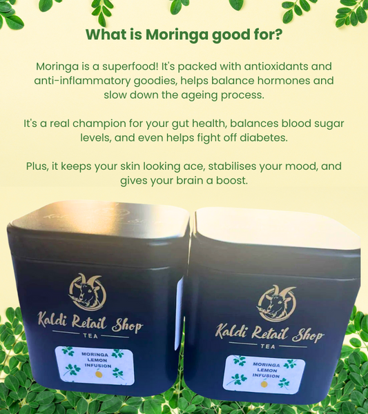 Moringa Lemon Infusion Tea