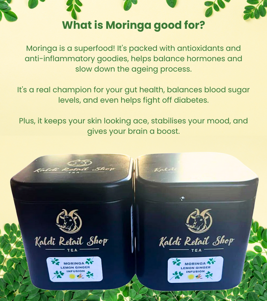 Moringa Lemon Ginger Infusion
