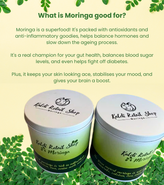 Moringa Herbal Infusion (Pre-Order)